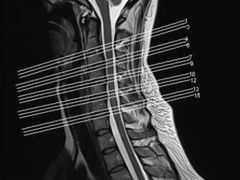 -上海中医药大学附属曙光医院(东部)