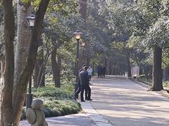 -灵谷景区