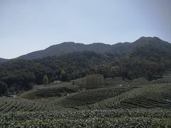 -听风阁农家私房菜茶楼(龙坞店)
