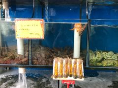 水产区-蚝专家(北滘店)