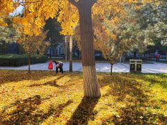 -北京邮电大学