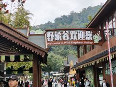 -野象谷景区