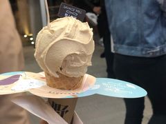 -野人先生现做冰淇淋(西安赛格店)