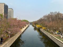 -元大都城垣遗址公园