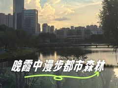 -后襄河公园