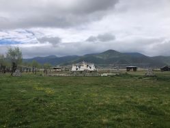 -纳帕海依拉草原