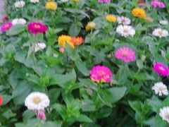 -长春公园(普阳街道)