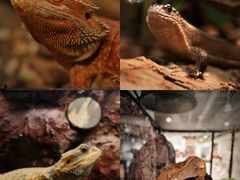 -长沙友阿奥特莱斯