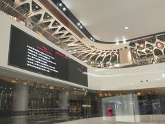 -TheRink大零溜冰场(IFS国金中心店)