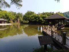 -东南花都花博园