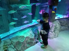 -沈阳海洋探索中心