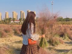 -映月湖中央公园