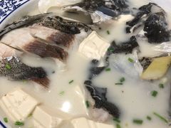 -全乐鱼馆·淳牌有机鱼直营店