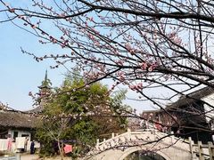 -千灯古镇