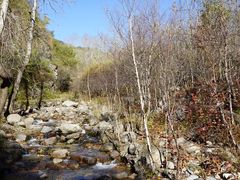 景点-玉渡山自然风景区