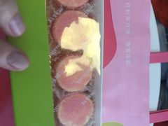-蒲公英(五里店)