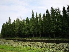 -艾溪湖湿地公园