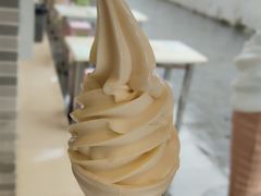 -广州素食学校·素猫豆腐(长洲码头店)