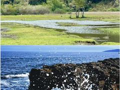 -盐洲岛