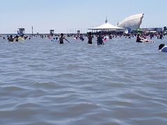 -碧海金沙