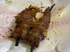-艾力江和田馕坑烤肉店