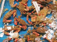 -旺角小渔村·海肠捞饭开创者(环山路店)