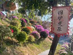 -胡里山炮台