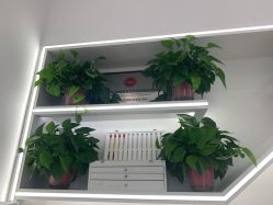 点击看大图 -蕾特恩专业祛痘·皮肤管理