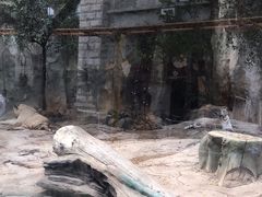 -灵玲国际马戏城