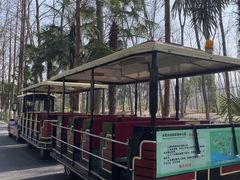 -合肥滨湖国家森林公园