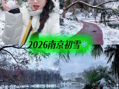 -灵谷景区