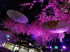 -韵秋荷(宝山龙湖天街店)