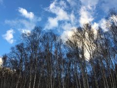 -塞罕坝国家级自然保护区