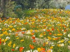 -名花谷生态庄园