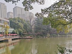-红梅公园