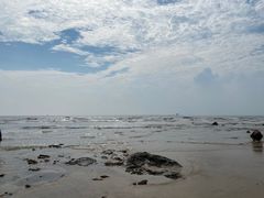 -日照海滨国家森林公园