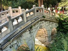 -莲池书院博物馆