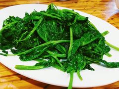 时令蔬菜-雨田饭店(华兴东街店)
