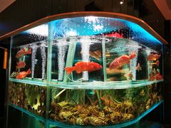 -海港酒家(上水新丰店)