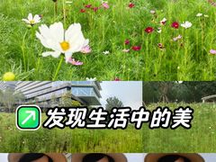 -北沙滩(地铁站)