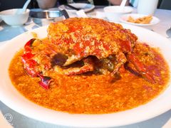 辣螃蟹-同乐海鲜(乌节路中央店)