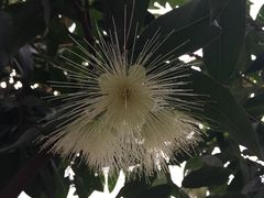 -北京植物园-展览温室