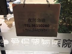 -爱侣宠医·鹦鹉专科·小型哺乳类·异宠专科(灵石路店)