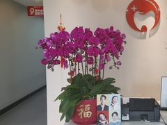 -土豆口腔(凤凰北总店)