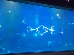-福州罗源湾海洋世界旅游区