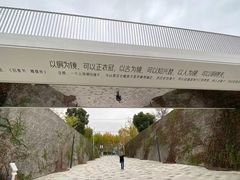 -上海山野camping·户外天幕烧烤·团建拓展营地