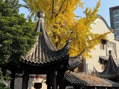 -龙潭水乡