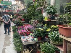 -武汉花鸟市场