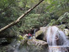 -牛背梁国家森林公园