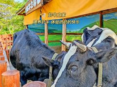 -盈香心动乐园